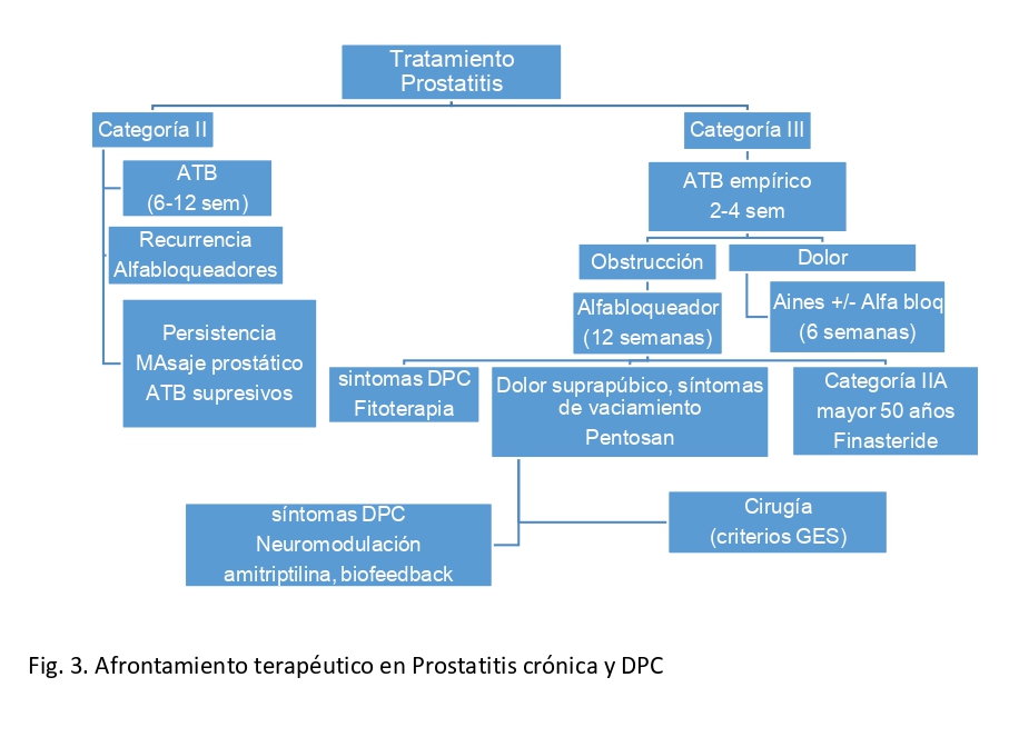 Fig. 3. Afrontamiento terapéutico en Prostatitis crónica y DPC