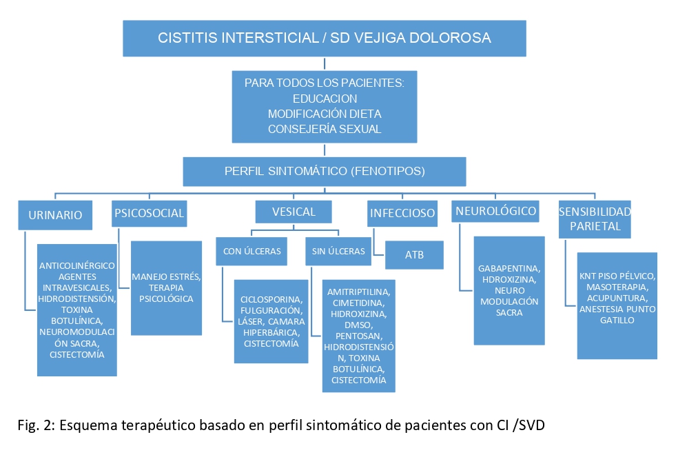 Fig. 1. Esquema terapéutico en perfil sintomático de pacientes con CI/SVD.