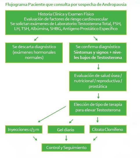 Fig. 1. Flujograma recomendado de diagnóstico y tratamiento del HIT.