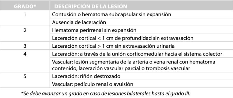 Fig. 1 Clasificación de lesiones renales de la AAST.