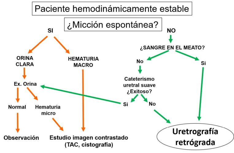 Fig 1. Manejo inicial en paciente con sospecha de lesión de la vía urinaria baja