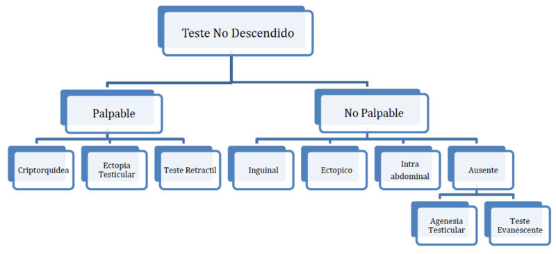 Fig 1. Esquema de clasificación del testículo no descendido