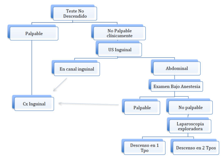 Fig 2. Esquema de enfrentamiento del testículo no descendido