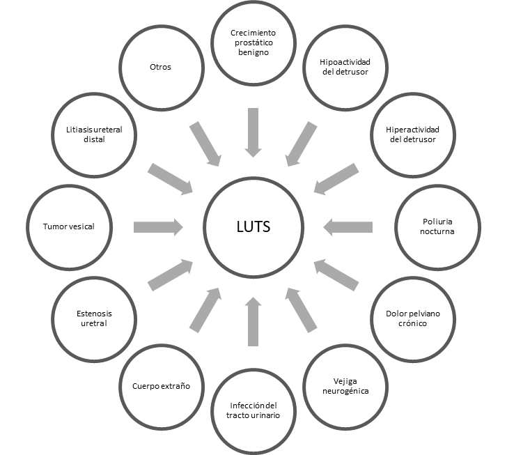 Gráfico 1: Etiología de LUTS (modificado de EAU Guidelines 2019)
